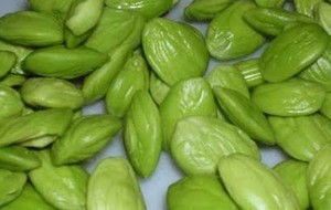 HERBAL: Petai
