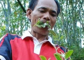 Pria China 2 Tahun Hidup hanya Makan Daun & Rumput 
