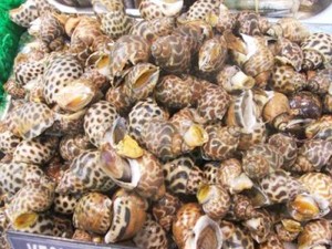 Kenyal Gurih Si Macan Laut
