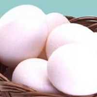 Makan Telur Tiap Hari Dapat Menurunkan Berat Badan