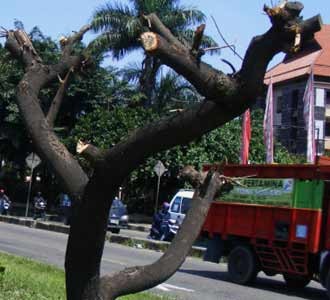 Jalan Soekarno-Hatta Gersang