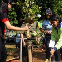 Pemerintah Dapat Komitmen Dana 1 Miliar Pohon dari Swasta