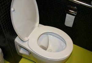 Toilet NoMix Memisahkan Urine dan Feses