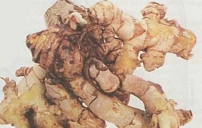 Porno malika va injiq (toliq film)