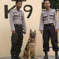 Brando, K9 Milik Polres Surabaya Timur