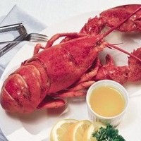 Apakah Lobster Layak Dikonsumsi?