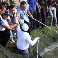 Panen Ikan di Pakal, Arif Afandi Tolong Bambang DH