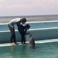 Terapi Autis dengan Lumba-lumba