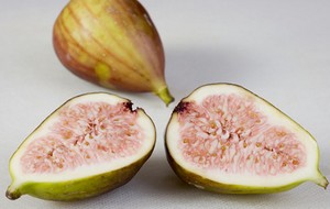 Herbal: Buah Ara