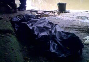 Potongan Tubuh di Kalimalang & Bekasi Satu Orang