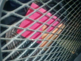 AS Dibawa KPK untuk Ikut Penggeledahan