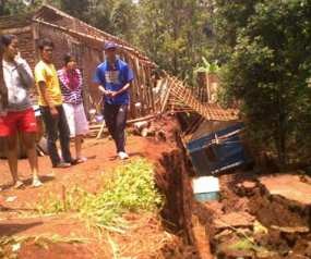 Puluhan Pohon Mulai Bergerak Miring