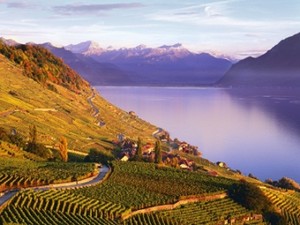 Promo Lavaux Sebagai Salah Satu Warisan Dunia