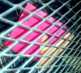 Diperiksa 10 Jam, Wajah Adner Tampak Stres 