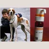 Alergi Parah Sembuh Dengan Bulu Anjing