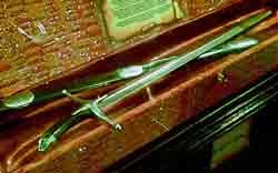  Butuh Satu Tahun Agar Bisa Pameran di Indonesia