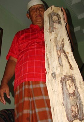 Aneh, Tulisan PKB Ditemukan Dalam Kayu di Pacitan