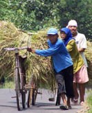 Siapa yang Peduli Nasib Petani