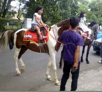 Wisata Tunggang Kuda di Bandung
