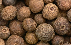 Herbal: Allspice