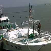 Nakhoda KM Sheng I Tsai 166 Dibunuh Dua ABK