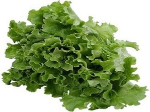 Lettuce: Si Selada Segar Pencegah Kanker