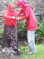 YPBB Buat Biopori di Detikbandung