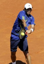 Verdasco Jumpa Soderling di Final