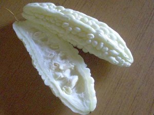Pare Putih Obat Diabetes