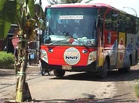 Jalan Rusak dan Berlubang, Warga Tanam Pohon Pisang