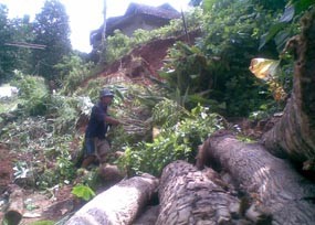Puluhan Rumah Rusak Tergerus Longsor