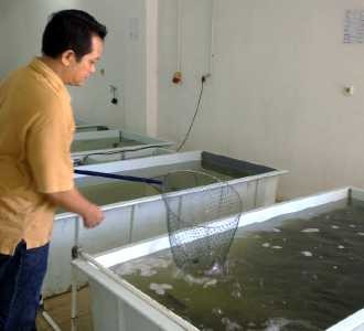 Pasar Ikan Terlengkap di Gedebage