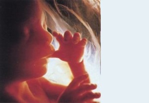 Kondisi Ibu Hamil di Trimester Kedua (2)