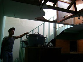 Daun-daun Berguguran Ketika Getaran Dahsyat Terjadi