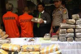 Polda Metro Sita 213,3 Kg Ganja Kering