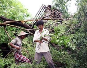 Puting Beliung Terjang Situbondo