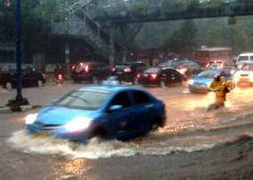 Banyak Genangan Air, Kemang Tersendat