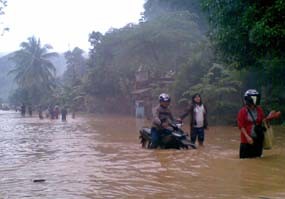 Banjir Kepung Pacitan, Warga Ungsikan Hewan Ternak 