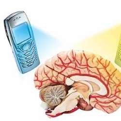WHO: Ponsel Tidak Sebabkan Kanker Otak