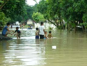 Luberan Air Bengawan Solo Mulai Rendam Tuban