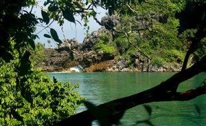 Sempu, Pulau Eksotis dengan Danau Berpasir Putih