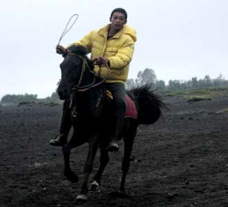 Derap Kuda Bromo
