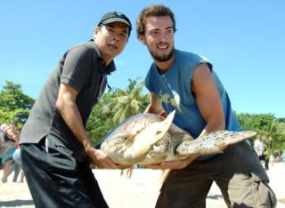 68 Penyu Langka Dilepas di Pantai Kuta