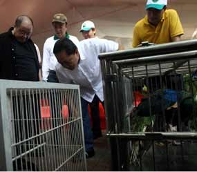  Hijaukan Jakarta, Lapangan Golf Diubah Jadi Hutan