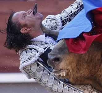 Banteng Seruduk Matador