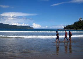 Hiu Raksasa Kerap Menampakkan Diri Tiap Jumat Kliwon