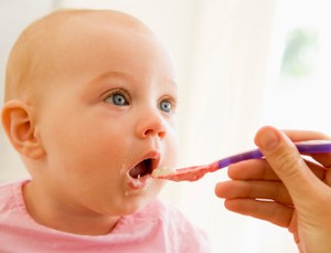 Memilih Makanan Pasca ASI Bagi Si Kecil