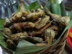 Kriuk Krenyes Baby Ikan Mas Goreng