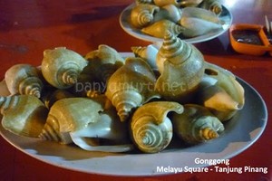 Gonggong di Tanjung Pinang