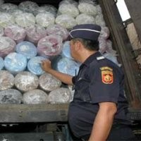 RI akan Gandakan Impor Kapas dari Mozambik